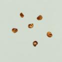Img.VTax2013.ExN.Img14