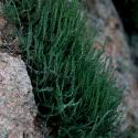 Img.VTax2094.ExN.Img6
