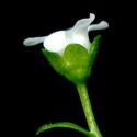 Img.VTax2199.ExN.Img8