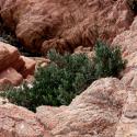 Img.VTax2203.ExN.Img9