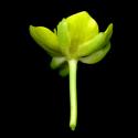 Img.VTax221.ExN.Img11