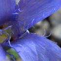 Img.VTax2282.ExN.Img3