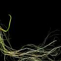 Img.VTax230.ExN.Img4