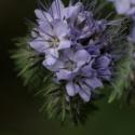 Img.VTax2318.ExN.Img4