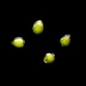 Img.VTax2361.ExN.Img8