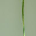 Img.VTax2362.ExN.Img4