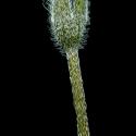Img.VTax2362.ExN.Img9