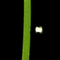 Img.VTax2540.ExN.Img12