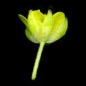Img.VTax255.ExN.Img3