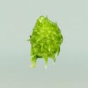 Img.VTax255.ExN.Img7