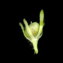 Img.VTax2622.ExN.Img9