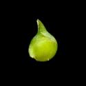 Img.VTax267.ExN.Img7