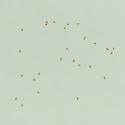 Img.VTax2716.ExN.Img6
