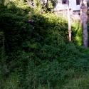 Img.VTax2772.ExN.Img2