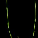 Img.VTax2810.ExN.Img2