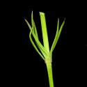 Img.VTax2810.ExN.Img4