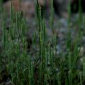 Img.VTax2810.ExN.Img6
