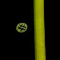 Img.VTax282.ExN.Img7