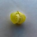Img.VTax2882.ExN.Img2