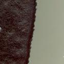 Img.VTax293.ExN.Img3