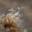 Img.VTax3025.ExN.Img4