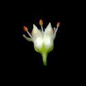 Img.VTax311.ExN.Img1