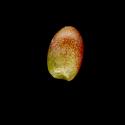 Img.VTax326.ExN.Img9