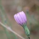 Img.VTax3364.ExN.Img4