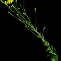 Img.VTax3448.ExN.Img18