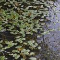Img.VTax3485.ExN.Img4
