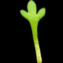 Img.VTax359.ExN.Img8