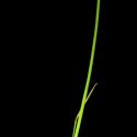 Img.VTax3695.ExN.Img13