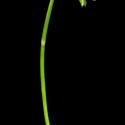 Img.VTax3719.ExN.Img6