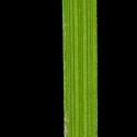 Img.VTax3754.ExN.Img1