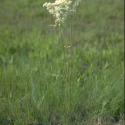 Img.VTax385.ExN.Img8