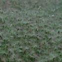 Img.VTax3992.ExN.Img4