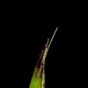 Img.VTax4054.ExN.Img6