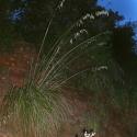 Img.VTax4136.ExN.Img6