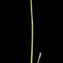 Img.VTax4158.ExN.Img10