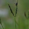 Img.VTax4184.ExN.Img3
