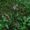 Img.VTax4275.ExN.Img10