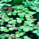 Img.VTax4324.ExN.Img6