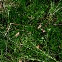 Img.VTax5.ExN.Img4