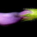 Img.VTax639.ExN.Img7