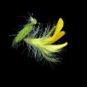 Img.VTax832.ExN.Img7