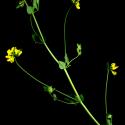 Img.VTax836.ExN.Img8
