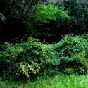 Img.VTax863.ExN.Img10