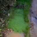 Img.VTax884.ExN.Img5