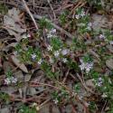 Img.VTax889.ExN.Img6