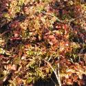 Img.VTax895.ExN.Img3